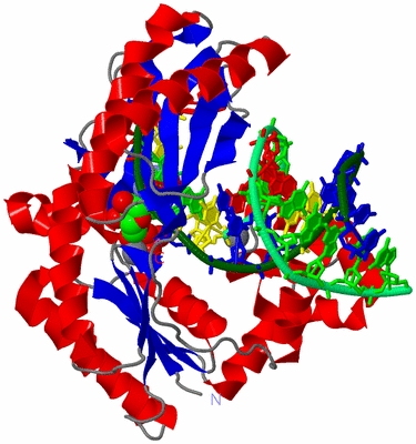 Image Asym./Biol. Unit