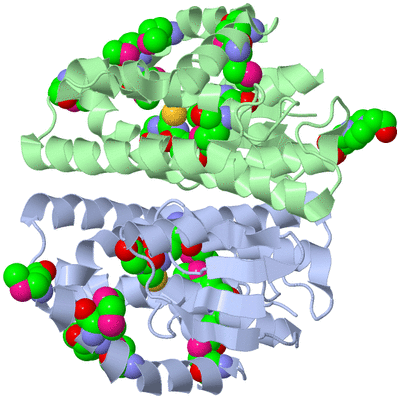 Image Biological Unit 1