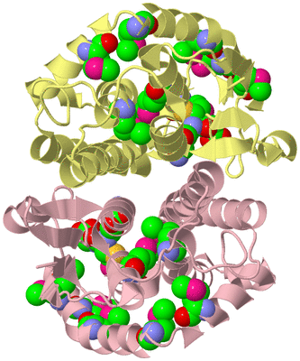 Image Biological Unit 2