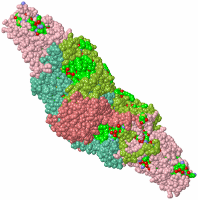 Image Biol. Unit 1 - sites