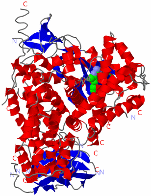 Image Asym./Biol. Unit