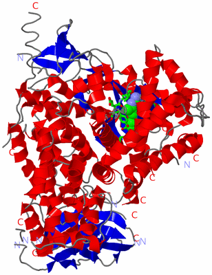 Image Asym./Biol. Unit - sites