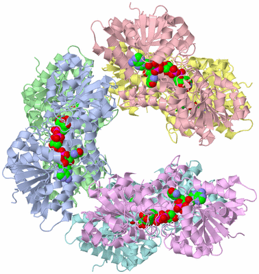 Image Asym./Biol. Unit