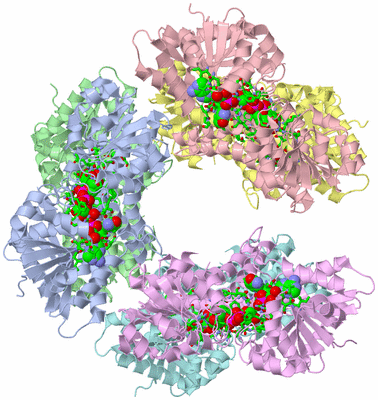 Image Asym./Biol. Unit - sites