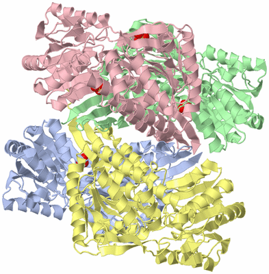 Image Asym./Biol. Unit