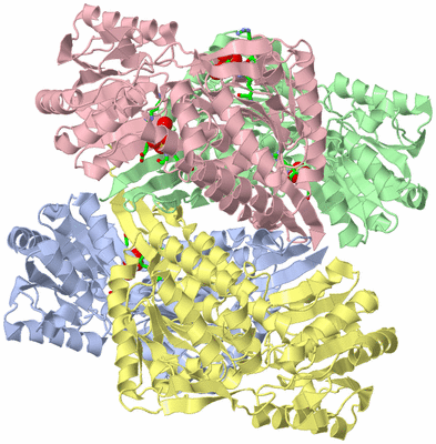 Image Asym./Biol. Unit - sites