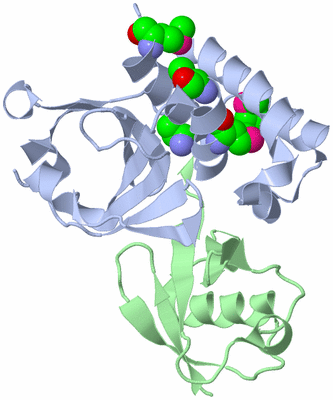 Image Biological Unit 1