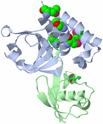 Image Biol. Unit 1 - sites