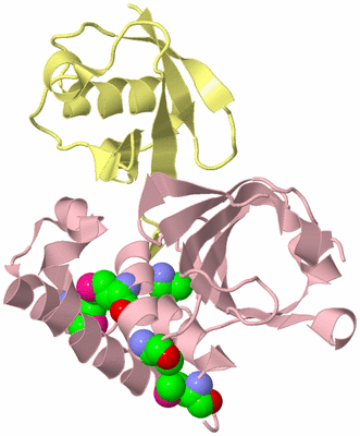 Image Biological Unit 2