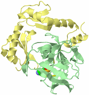 Image Biological Unit 2
