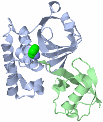 Image Biological Unit 1