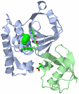 Image Biol. Unit 1 - sites