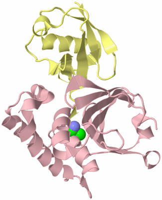 Image Biological Unit 2