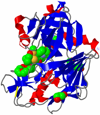 Image Asym./Biol. Unit