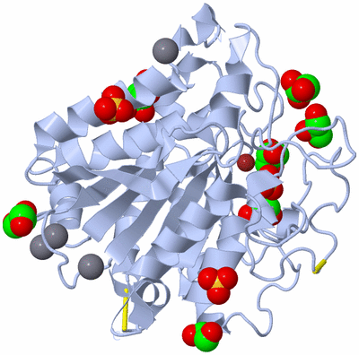 Image Biological Unit 1