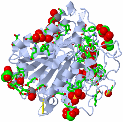 Image Biol. Unit 1 - sites