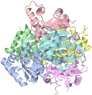 Image Asym./Biol. Unit