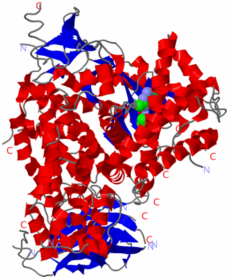 Image Asym./Biol. Unit