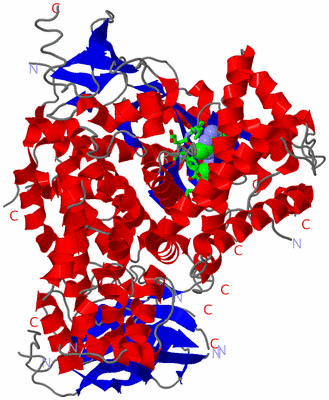 Image Asym./Biol. Unit - sites