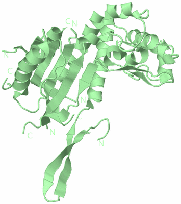 Image Biological Unit 2