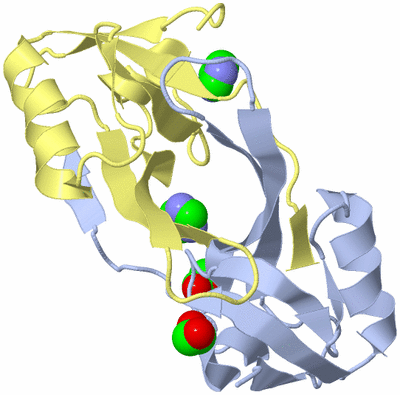 Image Biological Unit 1