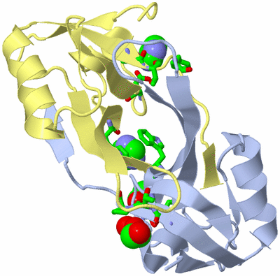 Image Biol. Unit 1 - sites