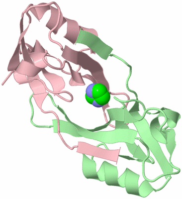 Image Biological Unit 2