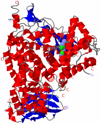 Image Asym./Biol. Unit