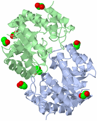 Image Asym./Biol. Unit