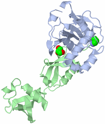 Image Asym./Biol. Unit
