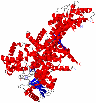 Image Asym./Biol. Unit