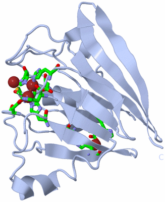 Image Biol. Unit 1 - sites