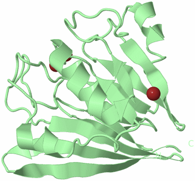 Image Biological Unit 2