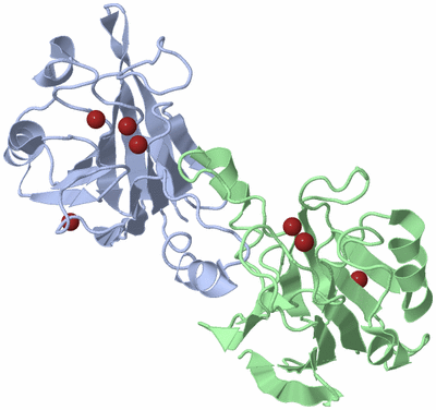 Image Biological Unit 3