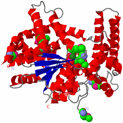 Image Asym./Biol. Unit