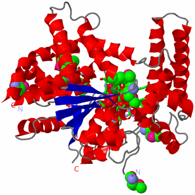 Image Asym./Biol. Unit - sites