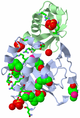 Image Biol. Unit 1 - sites