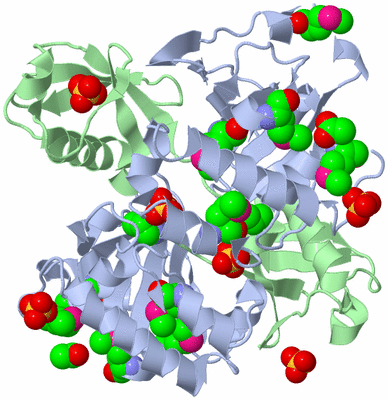 Image Biological Unit 2