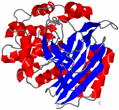 Image Asym./Biol. Unit