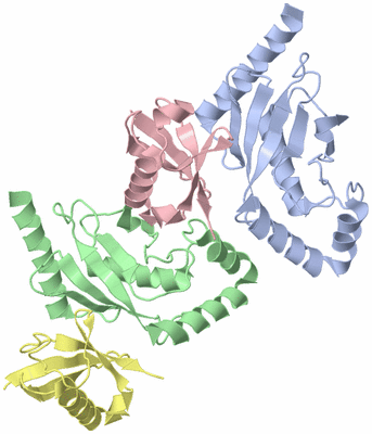 Image Asymmetric Unit