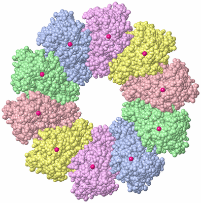 Image Biological Unit 1