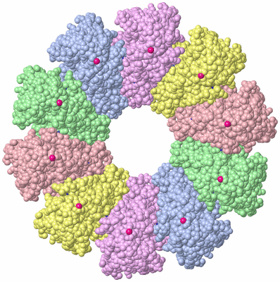 Image Biological Unit 1