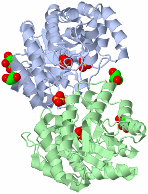 Image Asym./Biol. Unit