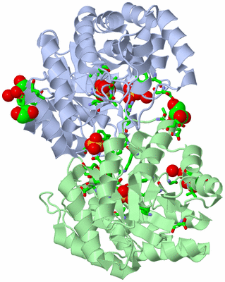 Image Asym./Biol. Unit - sites