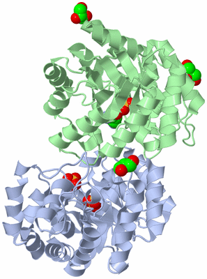 Image Asym./Biol. Unit