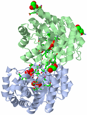 Image Asym./Biol. Unit - sites