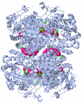 Image Biological Unit 2