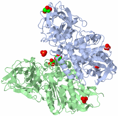 Image Asym./Biol. Unit