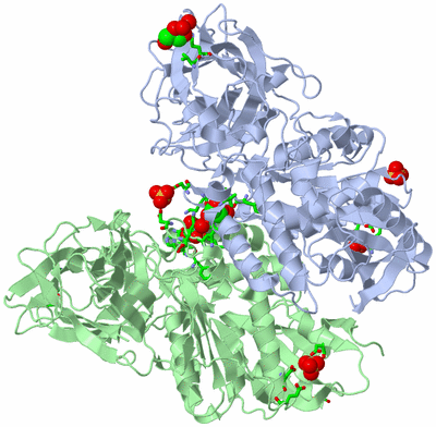 Image Asym./Biol. Unit - sites