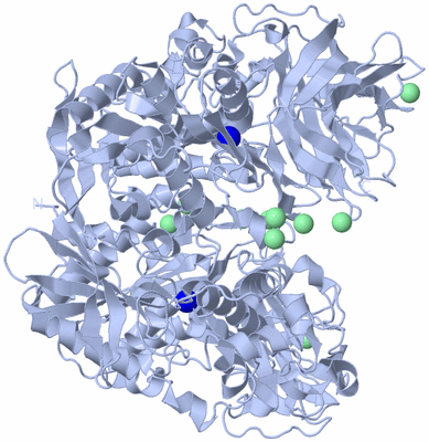 Image Biological Unit 1